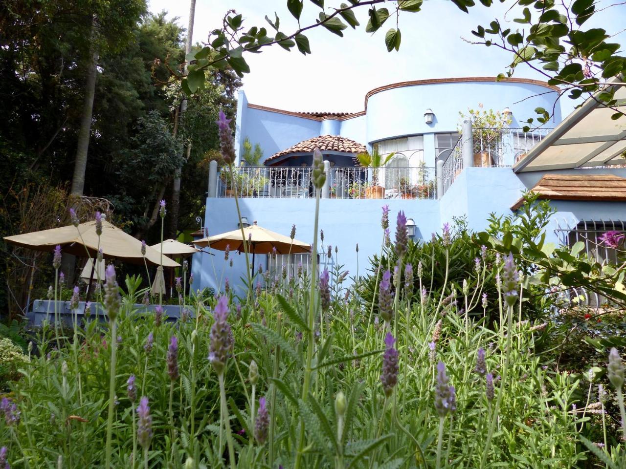 Casa Carly Hotel San Miguel de Allende Exterior foto